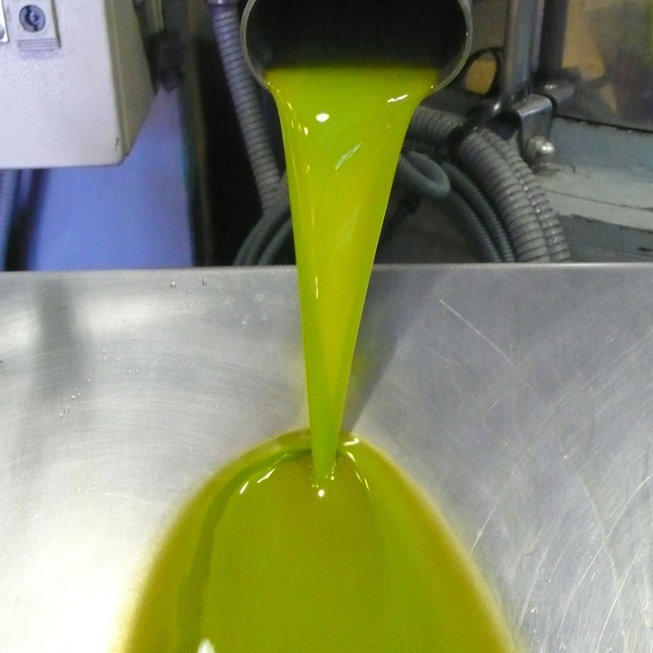 Eigenes Olivenöl